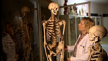 Dr. Beatrix Patzack im Pathologisch Anatomischen Bundesmuseum Wien