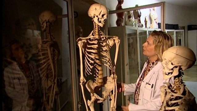 Dr. Beatrix Patzack im Pathologisch Anatomischen Bundesmuseum Wien